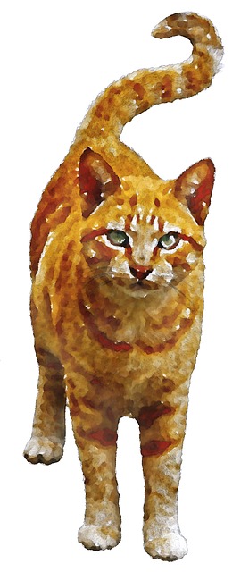 Free Tiger Cat Cat illustration and picture