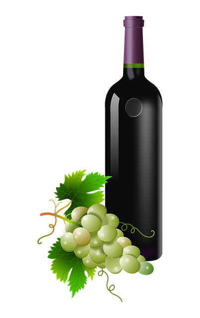 Trauben, Glas, Flasche, Ranke, Kam, Wein