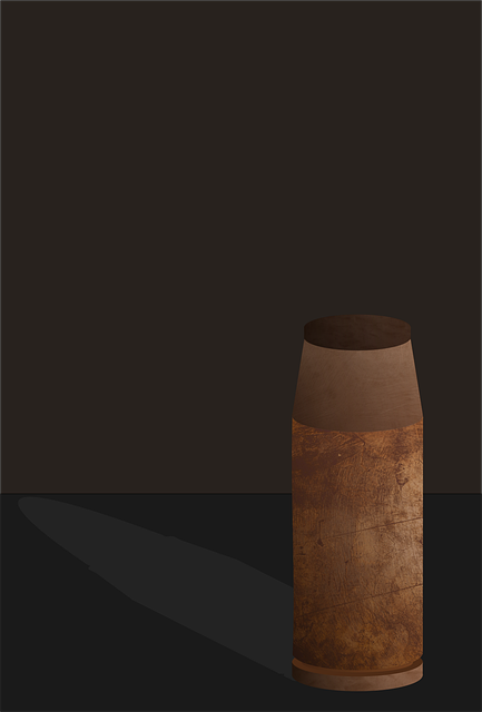 Free bullet weapons cartridge vector