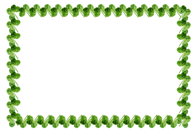 Free alfalfa four leaf clover happiness illustration
