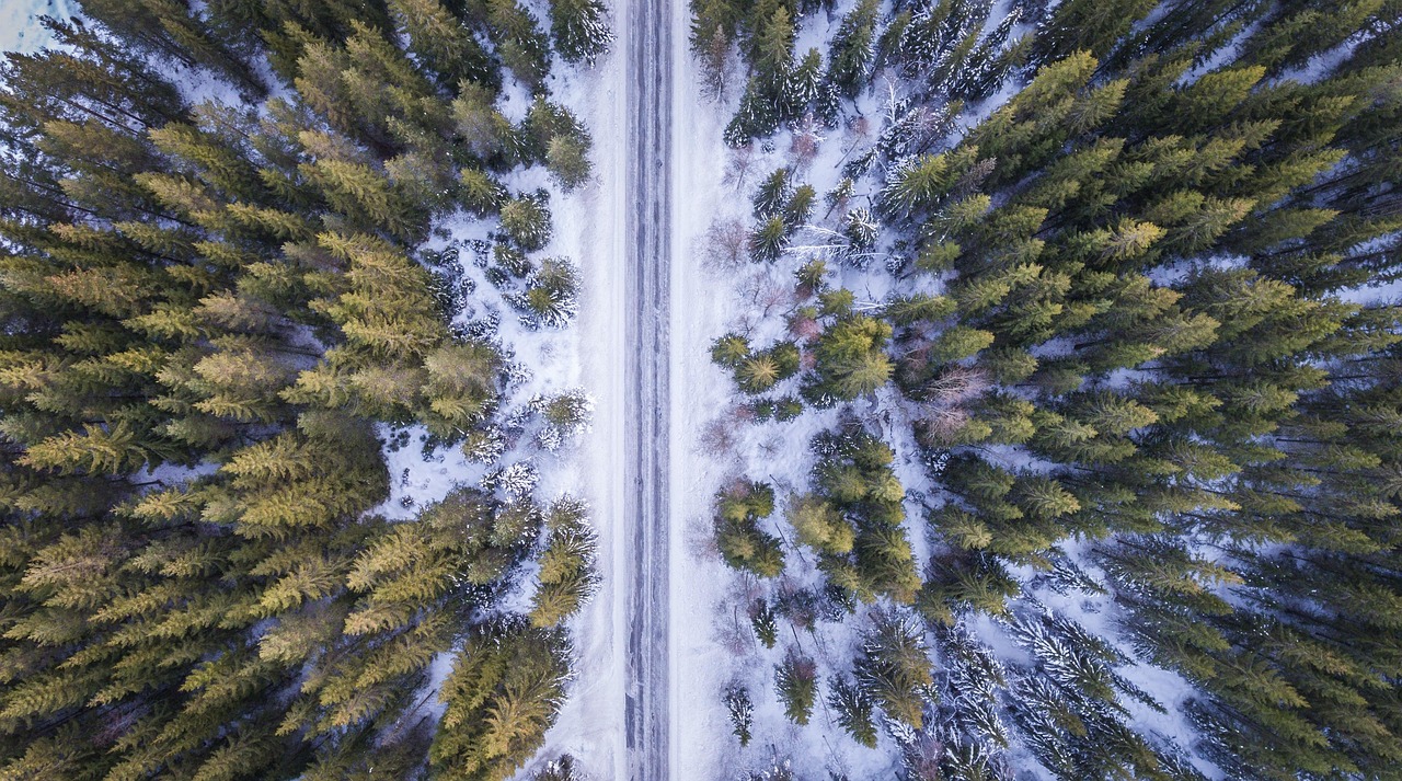 綠寶石攻略，探索與征服的旅程