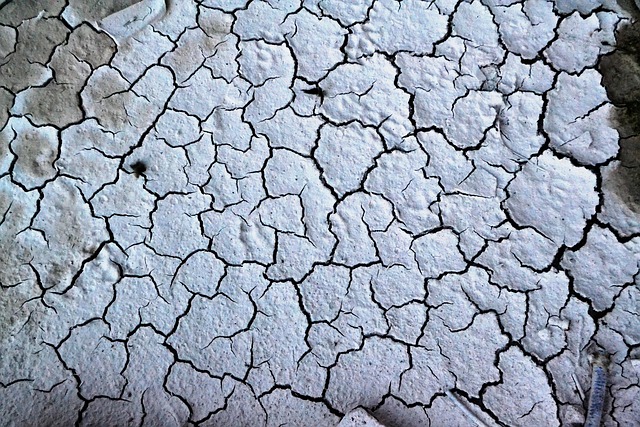 Free Broken Paint Pattern White photo and picture