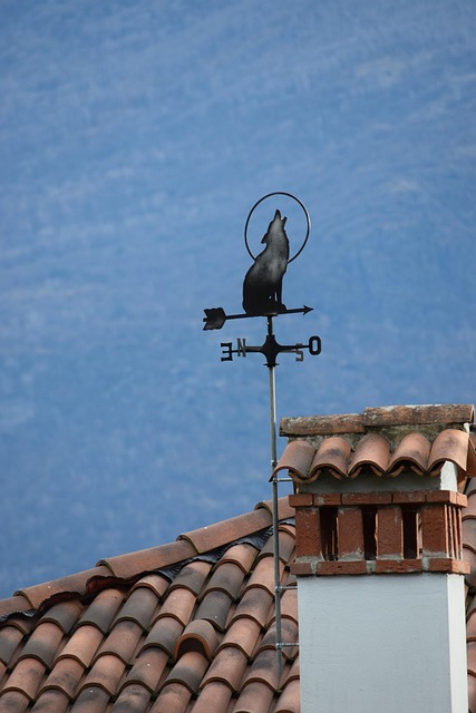 Free Weathervane Wind Marks photo and picture