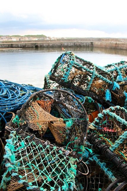 Free Fisherman Web photo and picture