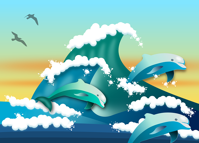 Free dolphins seagulls sea illustration