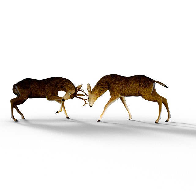 Cerb, Pachet, Damm Antler Sălbatice