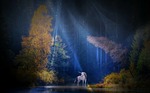 unicorn, fairy tales, mythical creatures