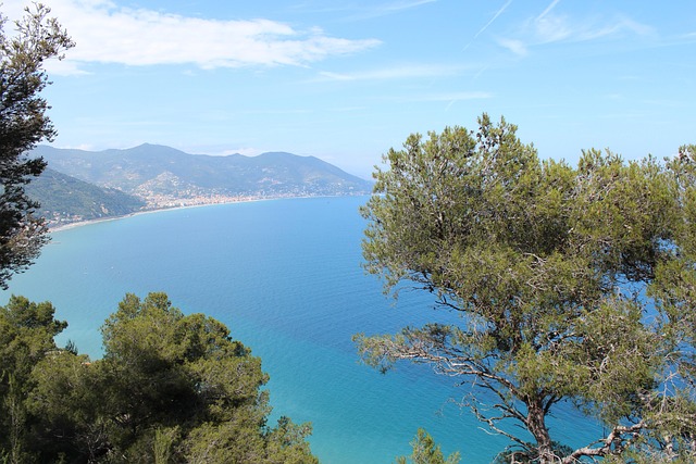 Free Sea Bay photo and picture