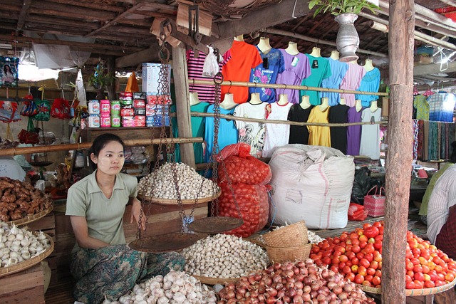 Free Bagan Market photo and picture