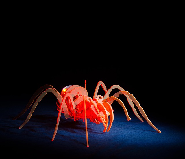 Free Spider Acrylic photo and picture