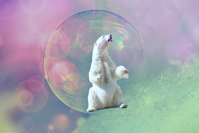 Free soap bubble icebear animal illustration