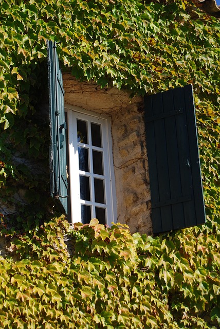 Free Opening Window photo and picture