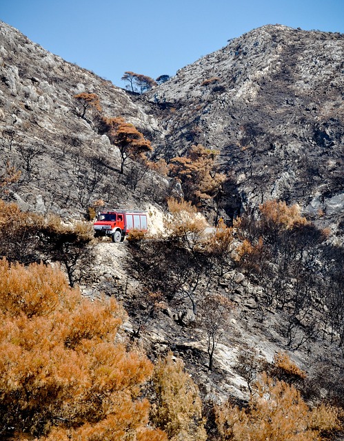 Foc, Departamentul De Pompieri, Pompieri