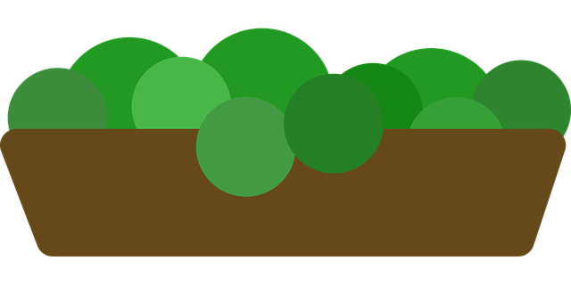 Free flower box plant pot plants vector