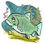 fish, hook, worm