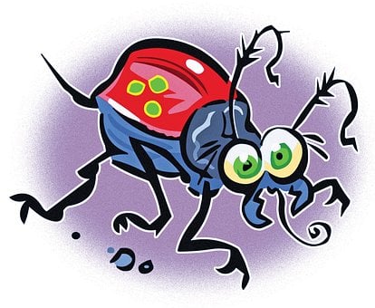 Free Bug Insect illustration and picture