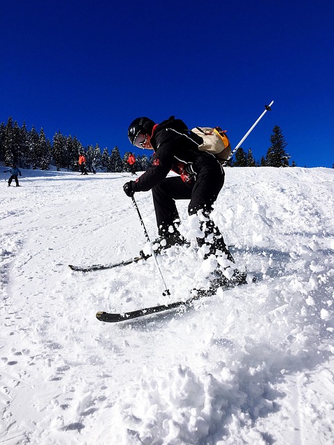 Free Skiing Winter photo and picture