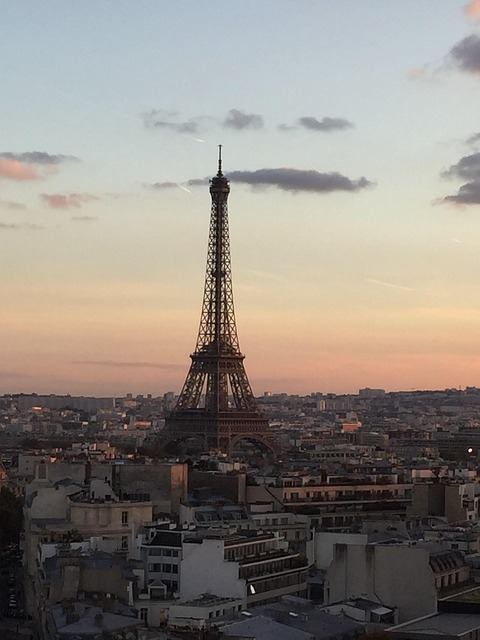 Free Paris France photo and picture