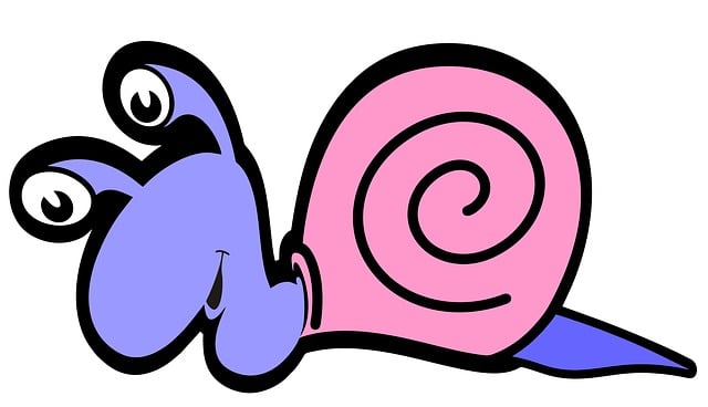 Free character shell cartoon illustration