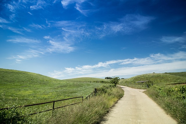 Free Length Landscape Dragon Paper photo and picture