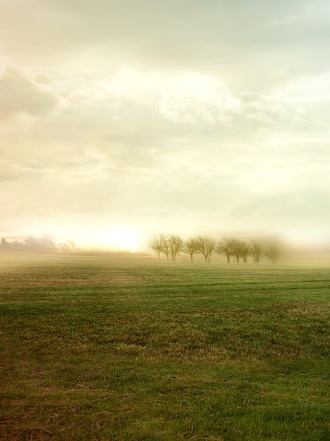 Free Sunny Darling photo and picture