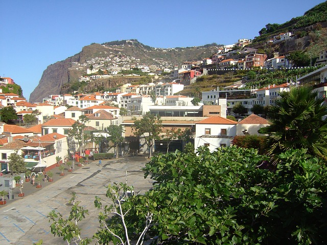 Free City Funchal photo and picture