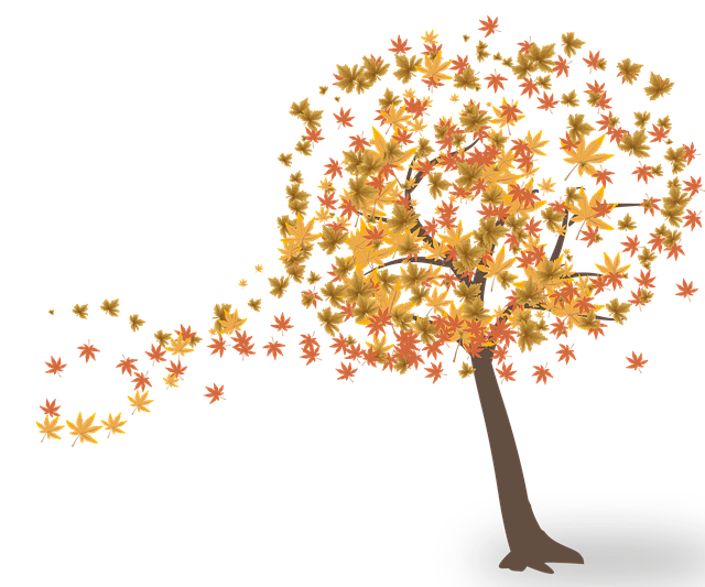 Download free HD stock image of Tree Leaves Free tree leaves fall illustration