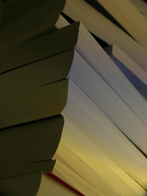 Free Books Book Stack photo and picture