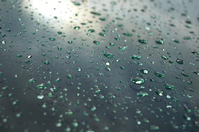 Free Drops Rain photo and picture
