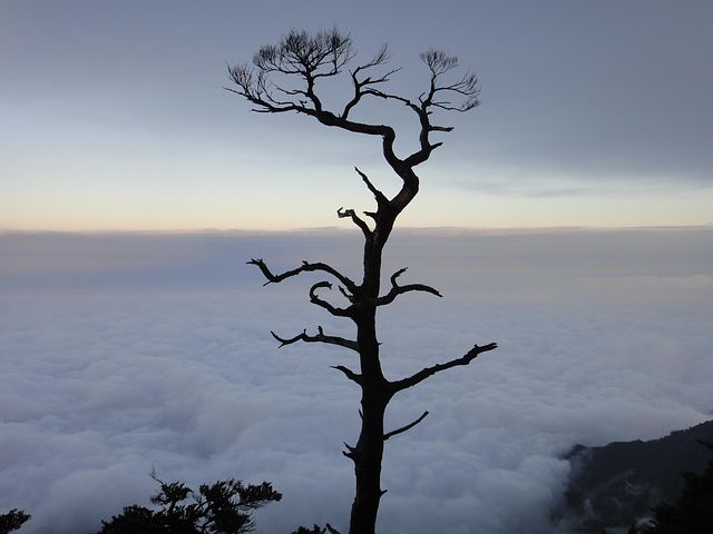 超过1 张关于 嵐雲 和 雲海 的免费图片