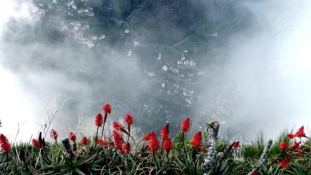 Free Nuns Valley Madeira photo and picture