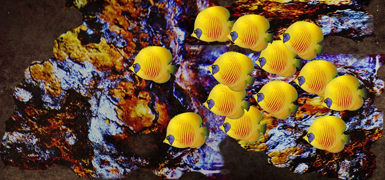 Nature - free online jigsaw puzzle photo