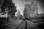 lost places, gleise, railway tracks