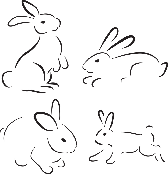 Download Rabbit, Nature, Animal. Royalty-Free Vector Graphic - Pixabay