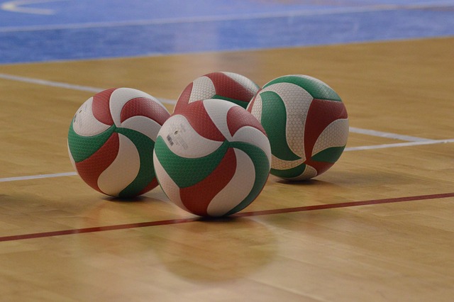 Free Volleyball Sport photo and picture