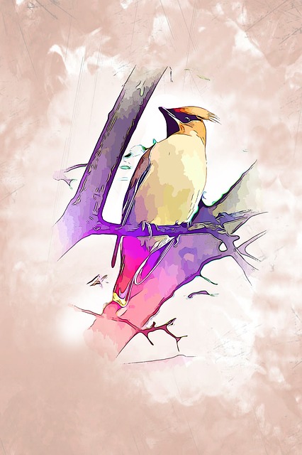 Grafik, Digital, Vogel, Stift, Natur
