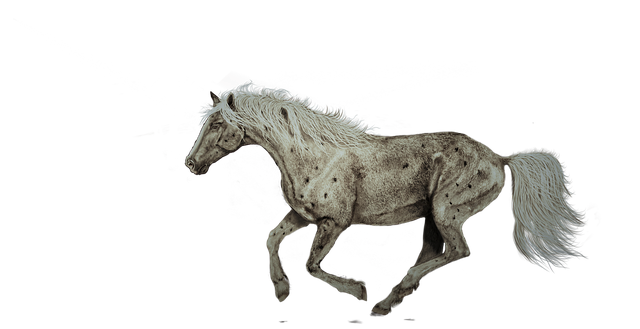 Pferd, Laufen, Malen, Kunst, Natur