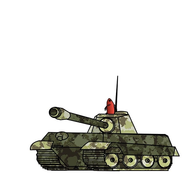 Armată, Natura, Avataruri, Camuflaj