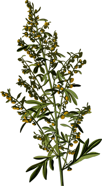 Free absinthe flower wallpaper flower background vector