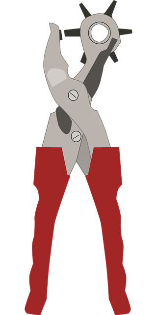 Free Belt Holes vector and picture