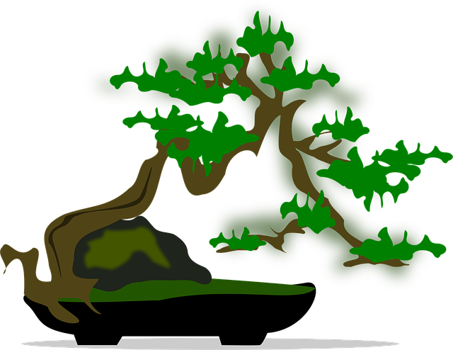 Download free HD stock image of Bonsai Clip Art Free bonsai clip art flora vector