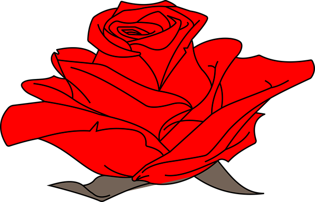 Blumen, Blume, Natur, Pflanze