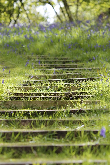 Free Covered Stairs Stone Stairs photo and picture