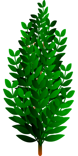 Free brush bush floral vector