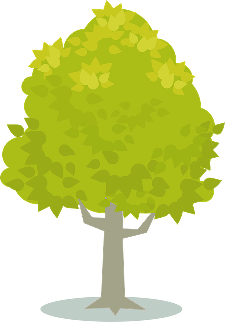 Free plant plants nature illustration