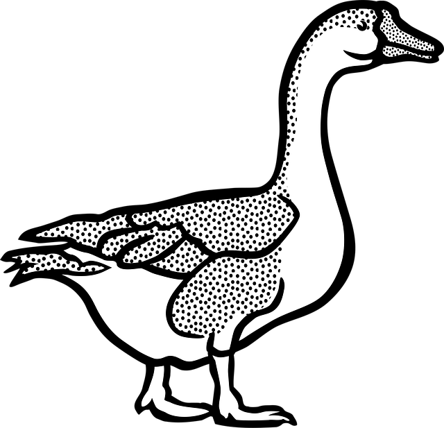 Free Animal Farm vector and picture
