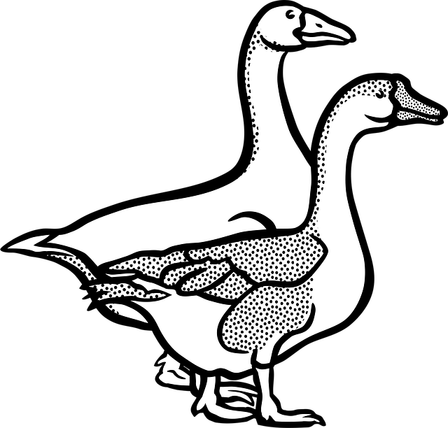 Free Animal Farm vector and picture