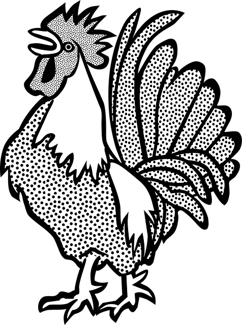Animale, Găini, Fermă, Natura, Hahn