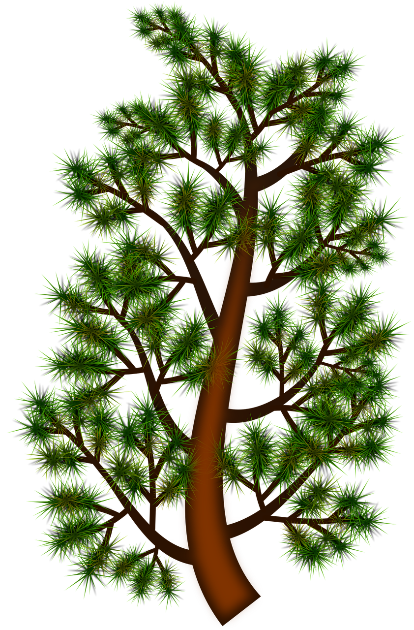 Download Branch, Forest, Green. RoyaltyFree Vector Graphic Pixabay