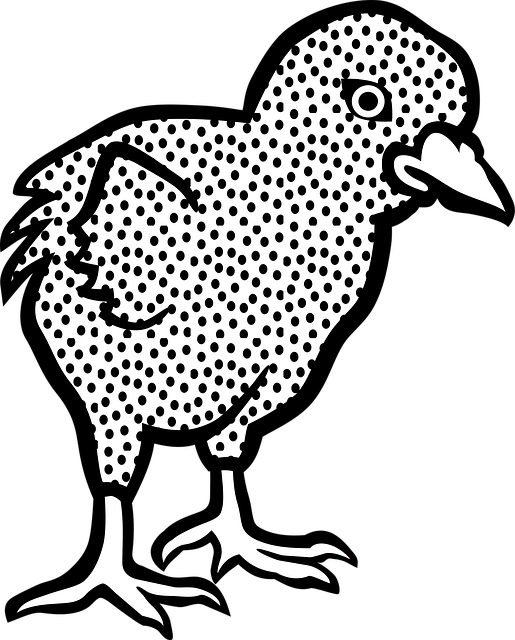 Free animal nature chick vector